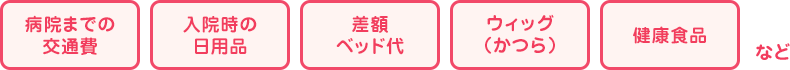入院までの交通費、入院時の日用品、差額ベッド代、ウィッグ（かつら）、健康食品など